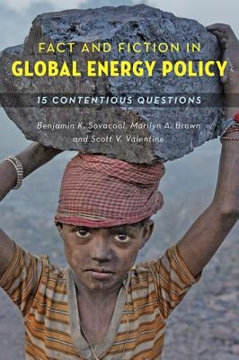 Fact and Fiction in Global Energy Policy: Fifteen Contentious Questions Paperback Johns Hopkins University Press