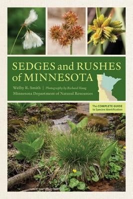 Sedges and Rushes of Minnesota: The Complete Guide to Species Identification Paperback University of Minnesota Press