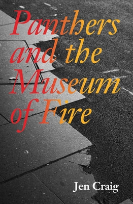 Paperback of "Panthers and the Museum of Fire" by Zerogram Press, showing the book cover with artwork and title.