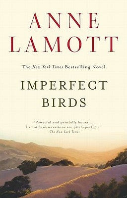 Paperback copy of Imperfect Birds by Riverhead Books, showing the book cover with abstract bird illustrations.
