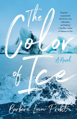 The Color of Ice Paperback She Writes Press