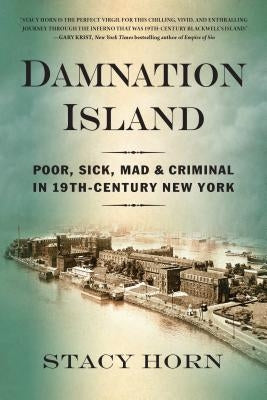 Damnation Island: Poor, Sick, Mad, and Criminal in 19th-Century New York Paperback Algonquin Books