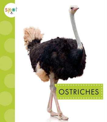 Ostriches Paperback Amicus Ink