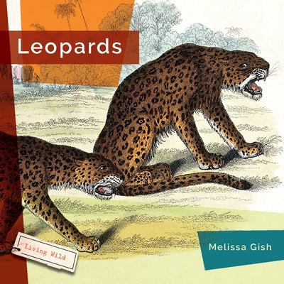 Leopards Paperback Creative Paperbacks
