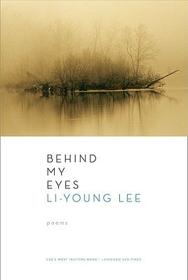 Behind My Eyes Paperback W. W. Norton & Company