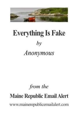 Everything Is Fake: by Anonymous Paperback Createspace Independent Publishing Platform