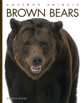 Brown Bears Paperback Creative Paperbacks