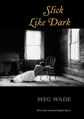 Slick Like Dark Paperback Tupelo Press