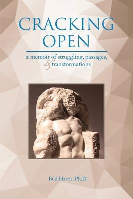 Cracking Open: A Memoir of Struggling, Passages, and Transformations Paperback Daphne Publications