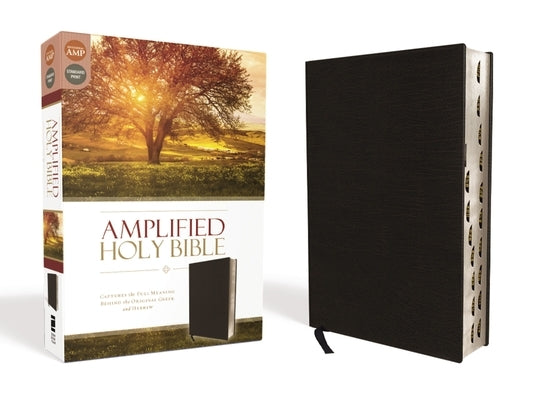 Amplified-Am: Captures the Full Meaning Behind the Original Greek and Hebrew Bible Zondervan