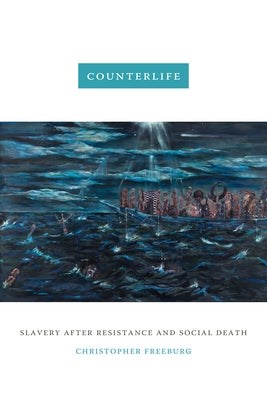 Counterlife: Slavery after Resistance and Social Death Paperback Duke University Press