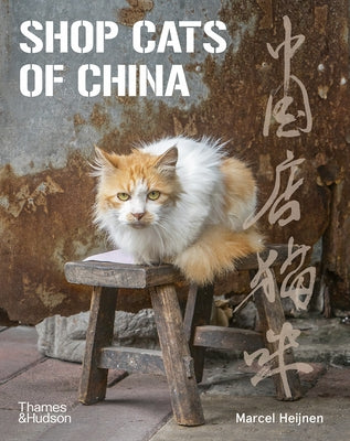 Shop Cats of China Paperback Thames & Hudson