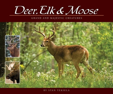Deer, Elk & Moose: Grand and Majestic Creatures Paperback Adventure Publications
