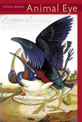 Animal Eye Paperback University of Pittsburgh Press