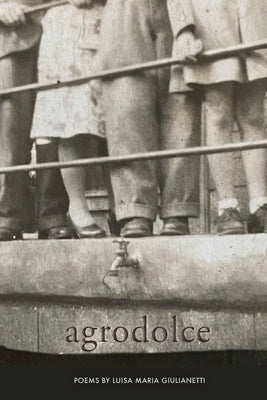 Agrodolce Paperback Bordighera Press