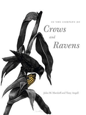 In the Company of Crows and Ravens Paperback Yale University Press