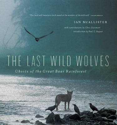 The Last Wild Wolves: Ghosts of the Rain Forest Paperback Greystone Books
