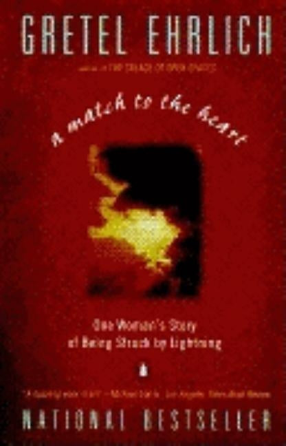 A Match to the Heart: One Woman's Story of Being Struck by Lightning Paperback Penguin Books