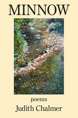 Minnow Paperback Kelsay Books
