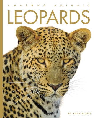 Leopards Paperback Creative Paperbacks