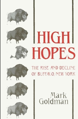 Paperback book titled "High Hopes: The Rise and Decline of Buffalo, New York" published by State University of New York Press.