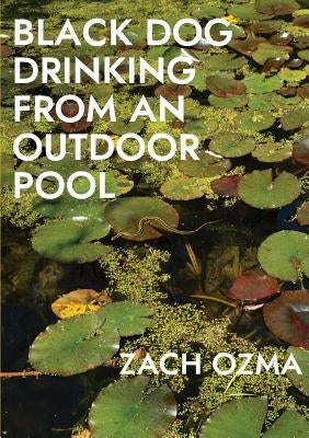 Black Dog Drinking from an Outdoor Pool Paperback Sibling Rivalry Press, LLC