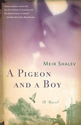 A Pigeon and a Boy Paperback Schocken Books Inc