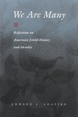 We Are Many: Reflections on American Jewish History and Identity Paperback Syracuse University Press