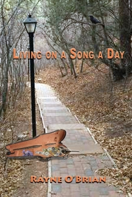 Paperback of Living on a Song a Day by Blue Light Press featuring a colorful cover with musical notes and artistic design.