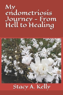 My endometriosis Journey - From Hell to Healing Paperback Independently Published