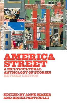 America Street: A Multicultural Anthology of Stories Paperback Persea Books