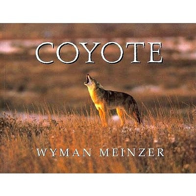 Coyote Paperback Texas Tech University Press