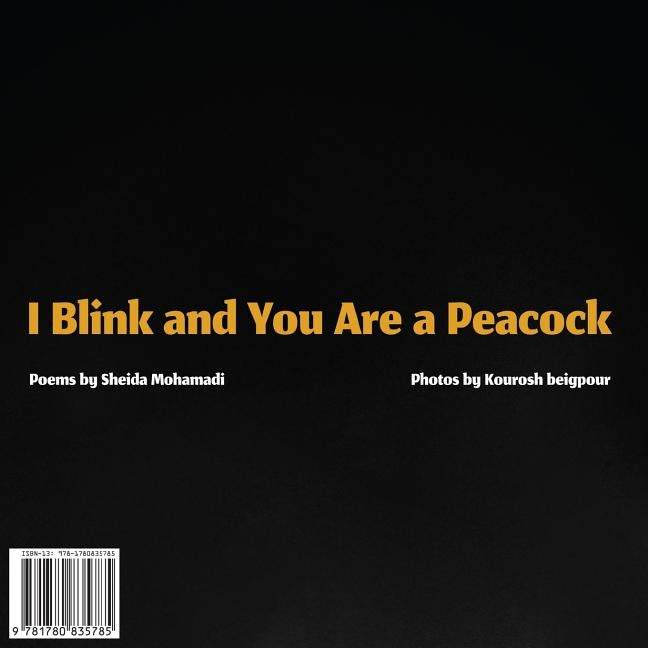 I Blink and You Are a Peacock: Ta Pelkam Mojeh Mizanad, Tavoos Mishavi Paperback H&s Media