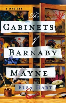 The Cabinets of Barnaby Mayne: A Mystery Paperback Minotaur Books