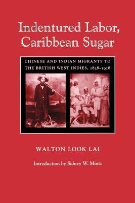 Indentured Labor, Caribbean Sugar: Chinese and Indian Migrants to the British West Indies, 1838-1918 Paperback Johns Hopkins University Press