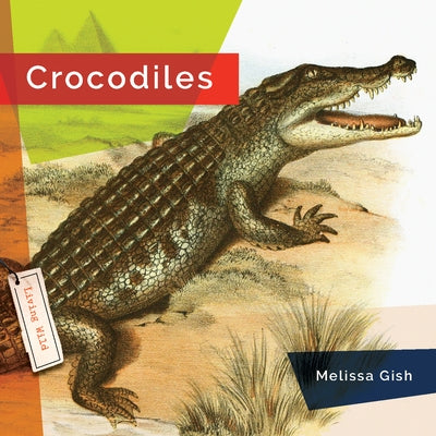 Crocodiles Paperback Creative Paperbacks