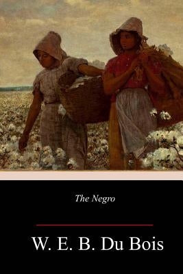 The Negro Paperback Createspace Independent Publishing Platform
