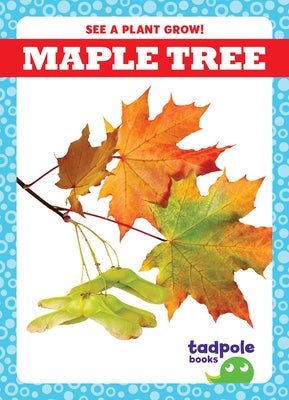 Maple Tree Paperback Tadpole Books