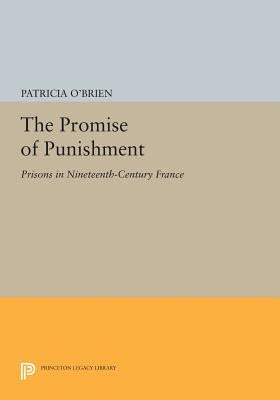 The Promise of Punishment: Prisons in Nineteenth-Century France Paperback Princeton University Press