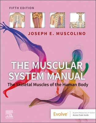 The Muscular System Manual: The Skeletal Muscles of the Human Body Paperback Elsevier