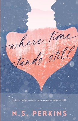 Where Time Stands Still Paperback NS Perkins