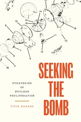 Seeking the Bomb: Strategies of Nuclear Proliferation Princeton University Press