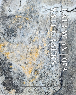 LAIR W pX 073 Salt Cracks Paperback Blurb