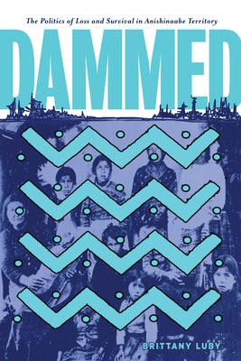 Dammed: The Politics of Loss and Survival in Anishinaabe Territory Paperback University of Manitoba Press