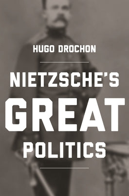 Nietzsche's Great Politics Paperback Princeton University Press