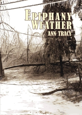 Epiphany Weather Paperback Spuyten Duyvil