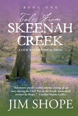 Tales From Skeenah Creek: A Civil War Historical Fiction Novel Paperback Red Press Co