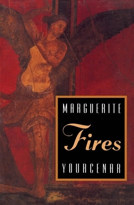 Fires Paperback University of Chicago Press