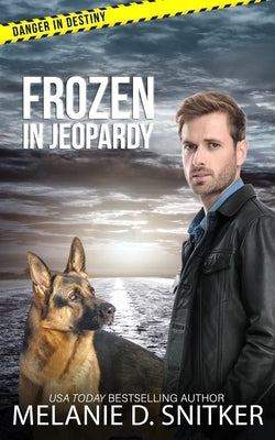 Frozen in Jeopardy: Christian Romantic Suspense Paperback Dallionz Media, LLC