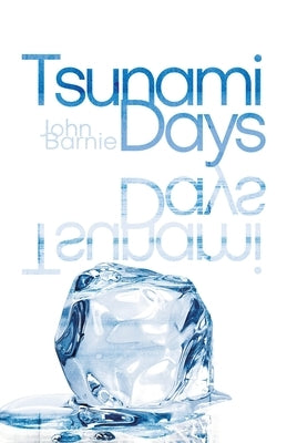 Tsunami Days Paperback Cinnamon Press